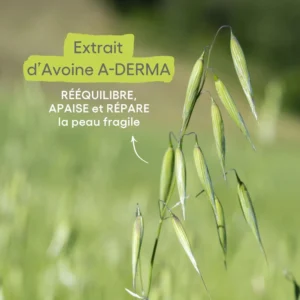 A-DERMA — PAIN SURGRAS NUTRITIF— Pain surgras Visage et Corps — LES INDISPENSABLES – Image 2