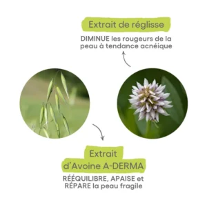 A-DERMA — PHYS-AC GLOBAL SOIN VISAGE COMPLET ANTI-IMPERFECTIONS — Soin anti-imperfections - PHYS-AC Global – Image 2